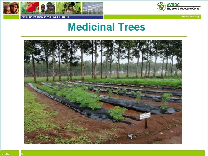 vegetables + development Development Through Vegetable Research Medicinal Trees 07 -2007 XYZ www. avrdc.