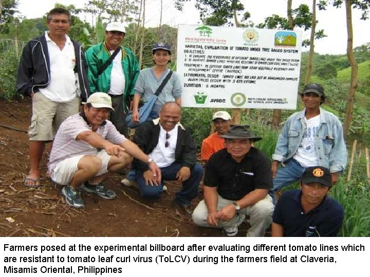 Farmers posed at the experimental billboard after evaluating different tomato lines which are resistant