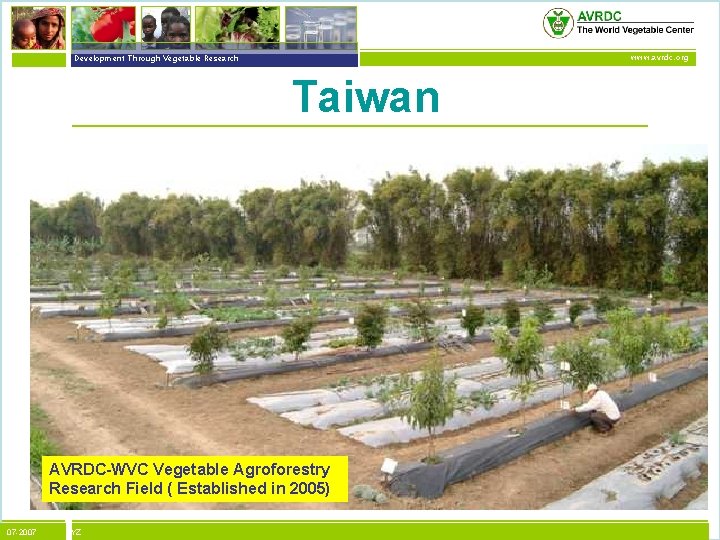 vegetables + development Development Through Vegetable Research www. avrdc. org Taiwan AVRDC-WVC Vegetable Agroforestry