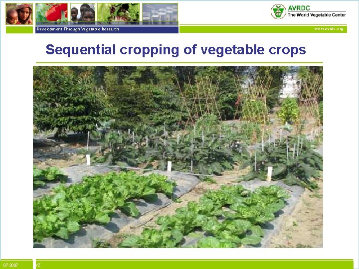 vegetables + development Development Through Vegetable Research Sequential cropping of vegetable crops 07 -2007