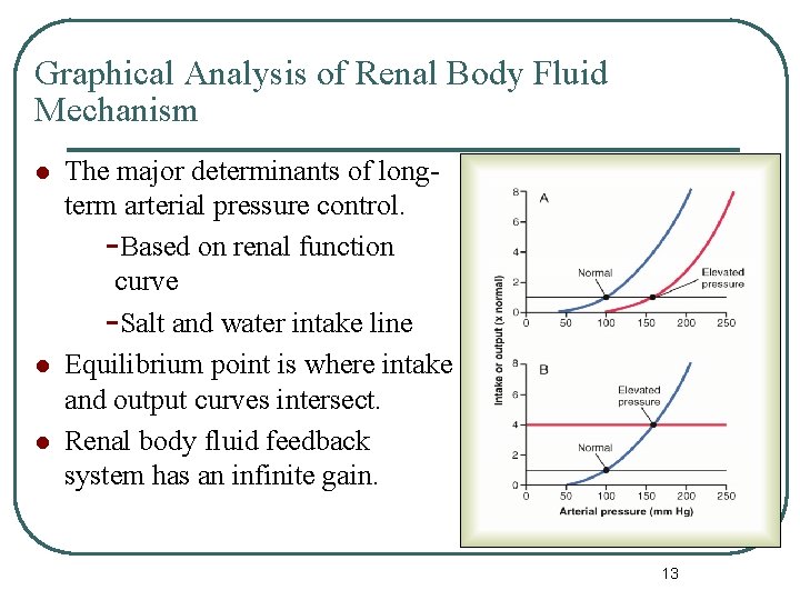 Graphical Analysis of Renal Body Fluid Mechanism l l l The major determinants of