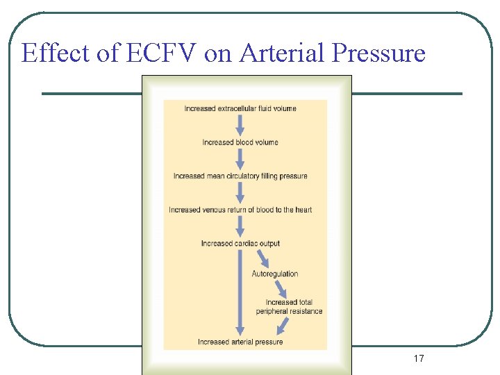 Effect of ECFV on Arterial Pressure 17 