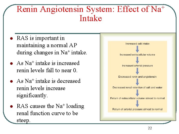 Renin Angiotensin System: Effect of Na+ Intake l RAS is important in maintaining a