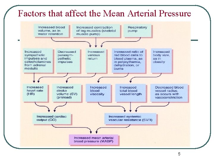 Factors that affect the Mean Arterial Pressure 5 