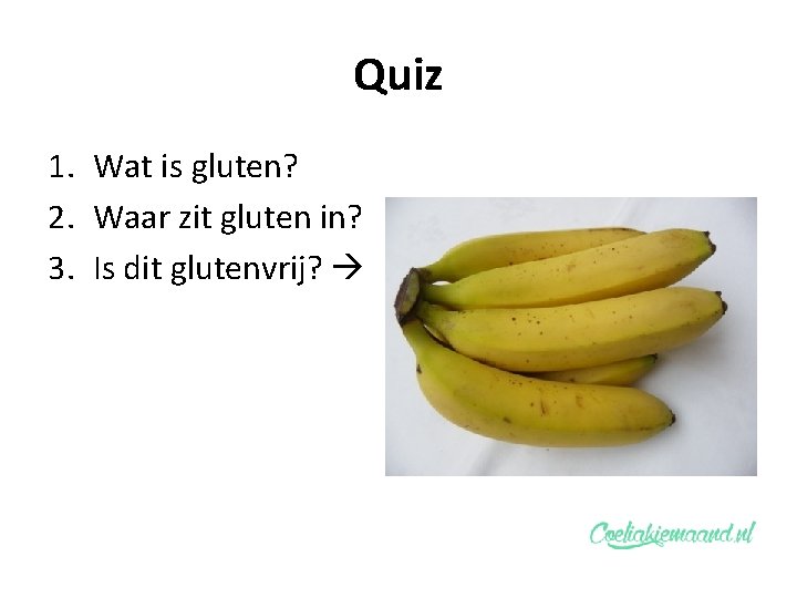 Quiz 1. Wat is gluten? 2. Waar zit gluten in? 3. Is dit glutenvrij?