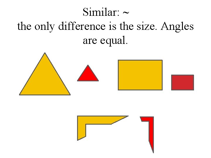 Similar: ~ the only difference is the size. Angles are equal. 