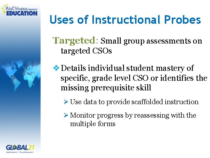 Uses of Instructional Probes Targeted: Small group assessments on targeted CSOs v Details individual