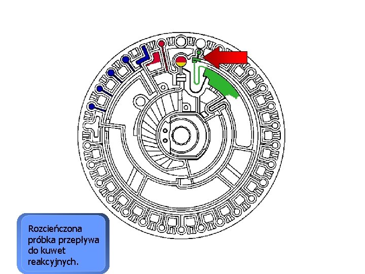 Rozcieńczona próbka przepływa do kuwet reakcyjnych. 