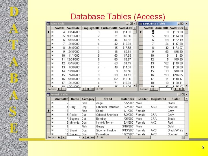 D A T A B A S E Database Tables (Access) 8 
