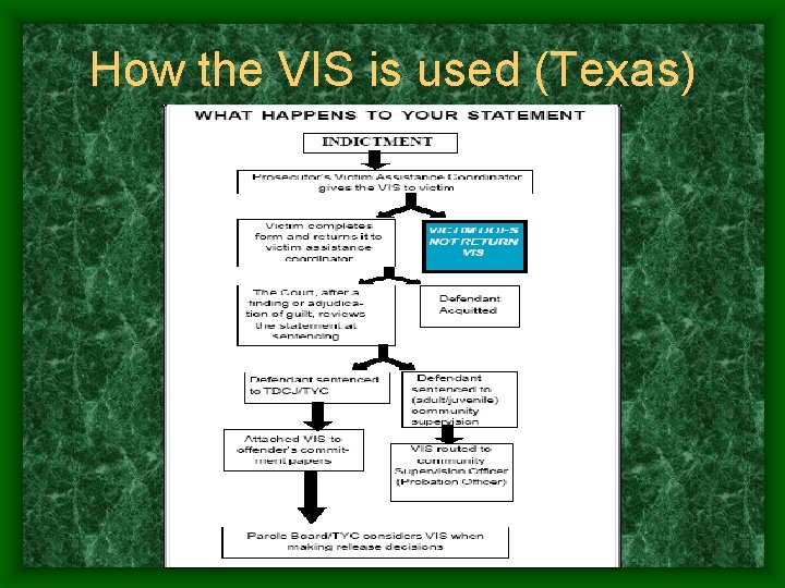 How the VIS is used (Texas) 