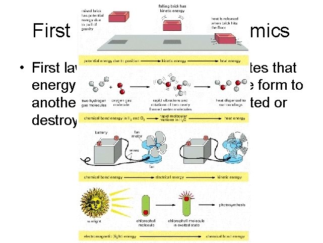 First Law of Thermodynamics • First law of thermodynamics – states that energy can