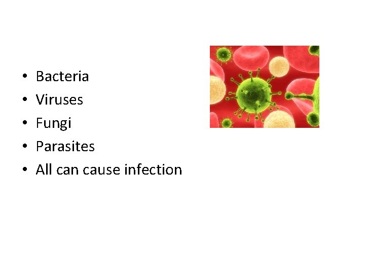 • • • Bacteria Viruses Fungi Parasites All can cause infection • • • Bacteria Viruses Fungi Parasites All can cause infection