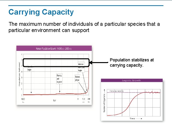 Carrying Capacity The maximum number of individuals of a particular species that a particular