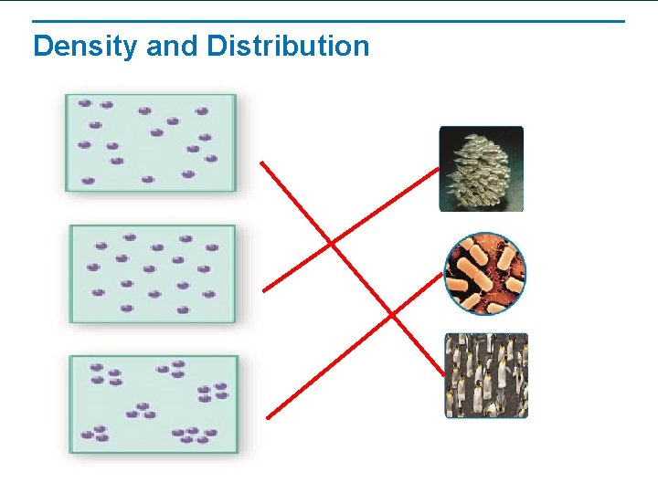Density and Distribution 