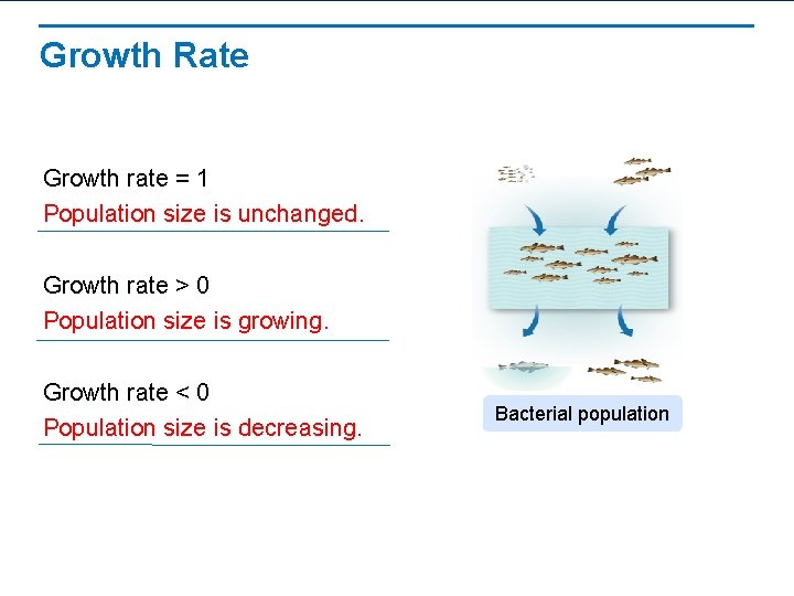 Growth Rate Growth rate = 1 Population size is unchanged. Growth rate > 0