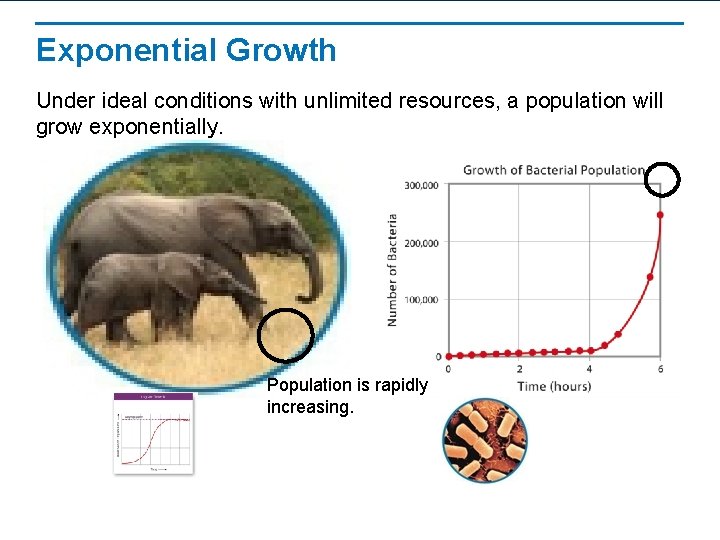 Exponential Growth Under ideal conditions with unlimited resources, a population will grow exponentially. Population