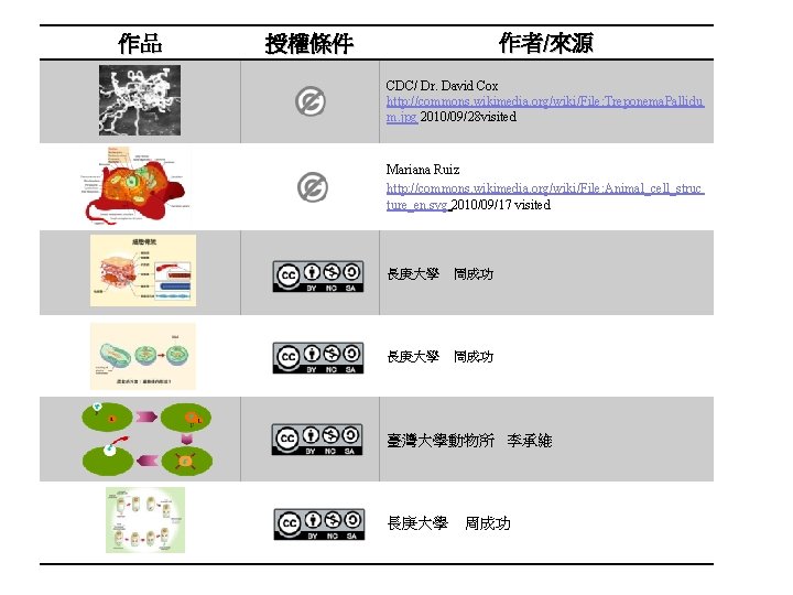 作品 作者/來源 授權條件 CDC/ Dr. David Cox http: //commons. wikimedia. org/wiki/File: Treponema. Pallidu m.