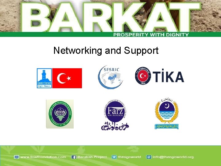 Networking and Support 