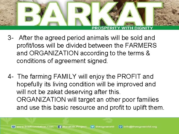 3 - After the agreed period animals will be sold and profit/loss will be