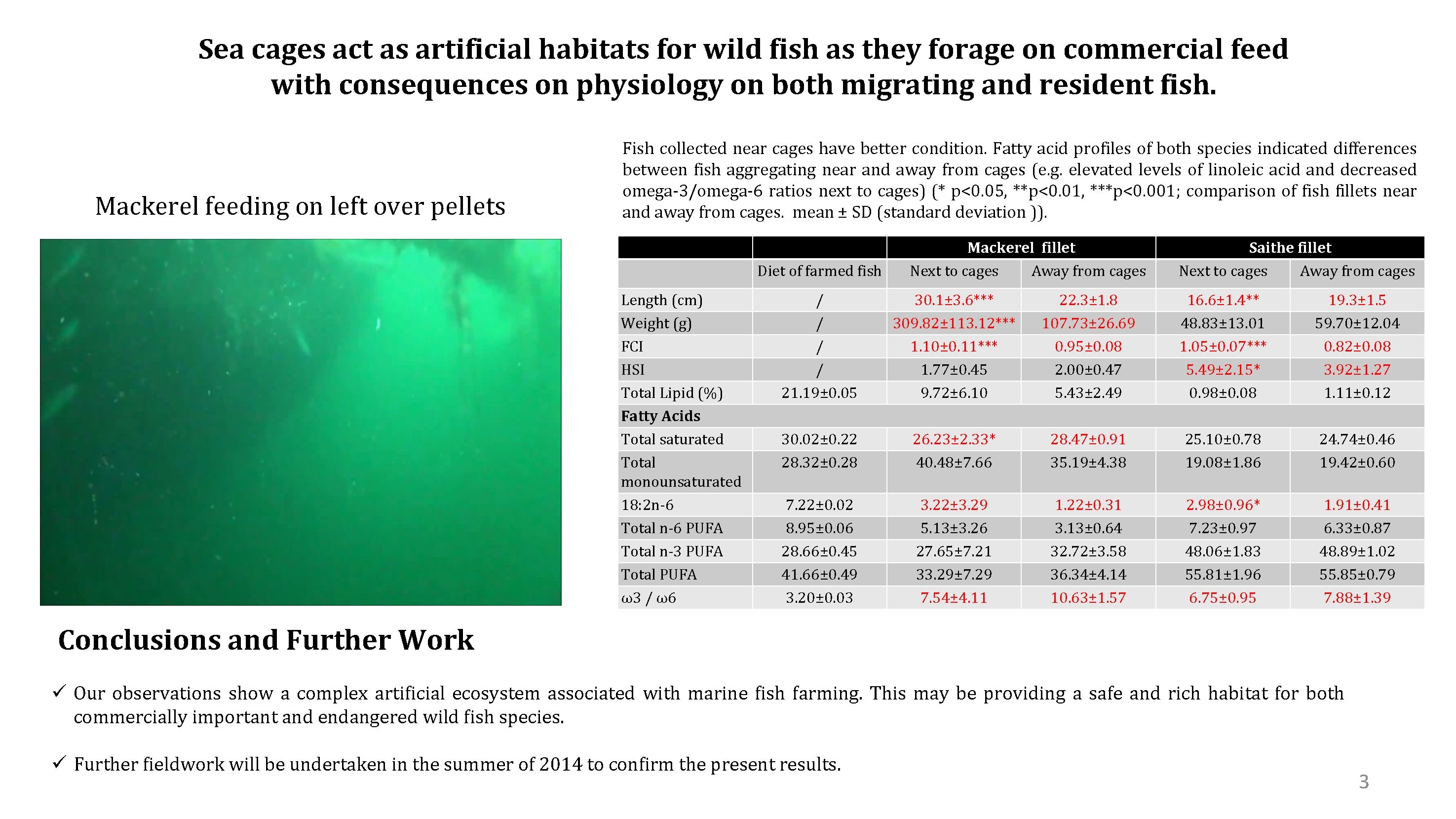 Sea cages act as artificial habitats for wild fish as they forage on commercial
