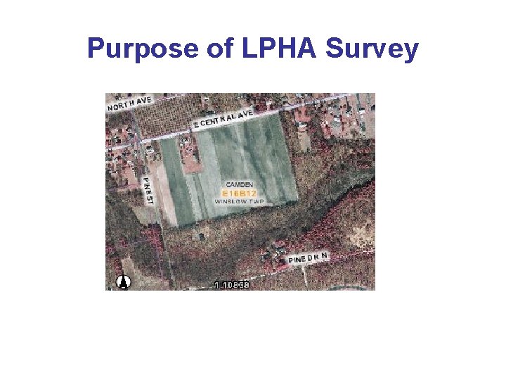 Purpose of LPHA Survey 