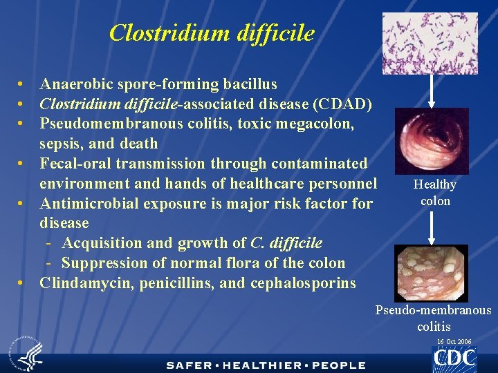 Clostridium difficile • Anaerobic spore-forming bacillus • Clostridium difficile-associated disease (CDAD) • Pseudomembranous colitis,