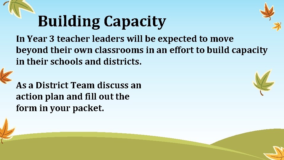 Building Capacity In Year 3 teacher leaders will be expected to move beyond their