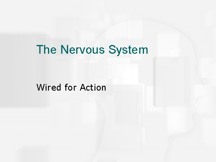The Nervous System Wired for Action 
