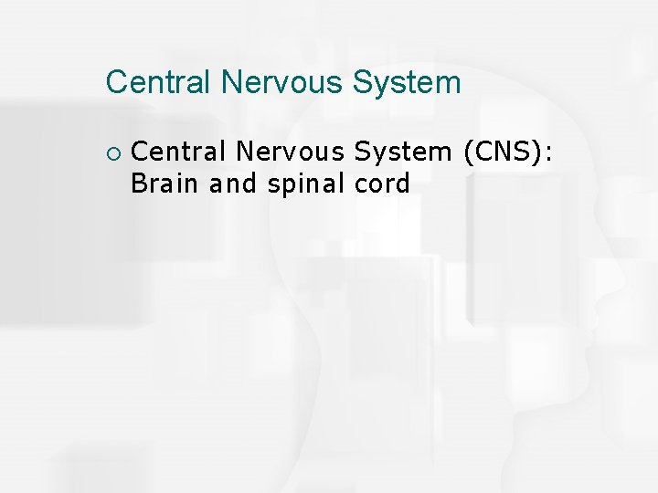 Central Nervous System ¡ Central Nervous System (CNS): Brain and spinal cord 