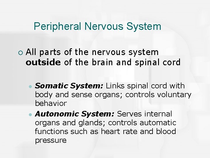 Peripheral Nervous System ¡ All parts of the nervous system outside of the brain