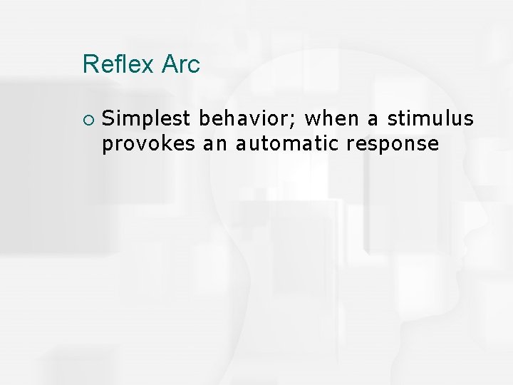 Reflex Arc ¡ Simplest behavior; when a stimulus provokes an automatic response 