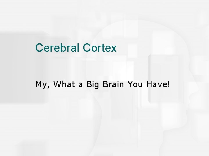 Cerebral Cortex My, What a Big Brain You Have! 