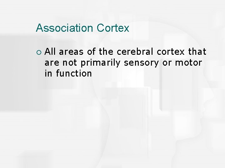 Association Cortex ¡ All areas of the cerebral cortex that are not primarily sensory