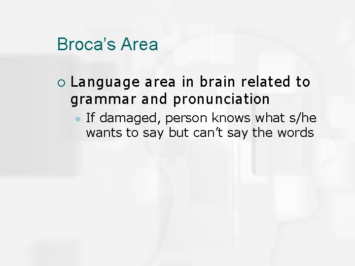 Broca’s Area ¡ Language area in brain related to grammar and pronunciation l If