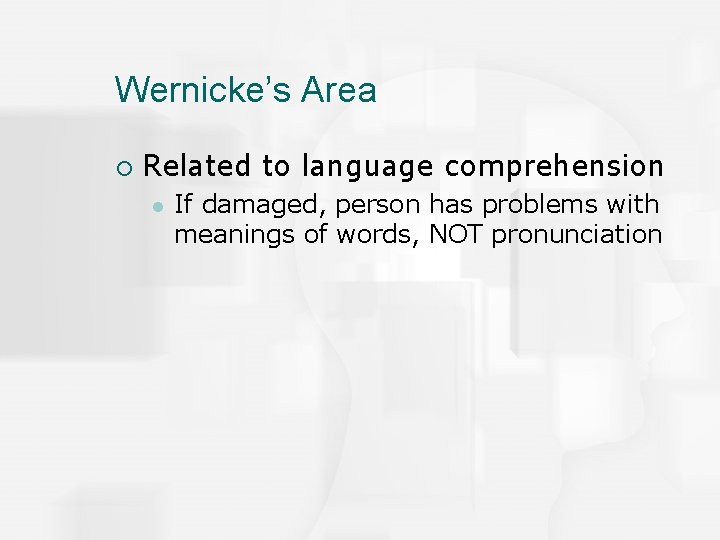 Wernicke’s Area ¡ Related to language comprehension l If damaged, person has problems with