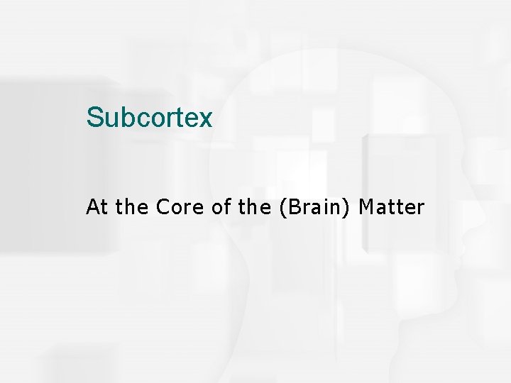 Subcortex At the Core of the (Brain) Matter 