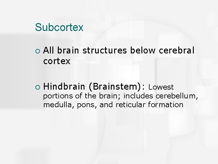 Subcortex ¡ ¡ All brain structures below cerebral cortex Hindbrain (Brainstem): Lowest portions of