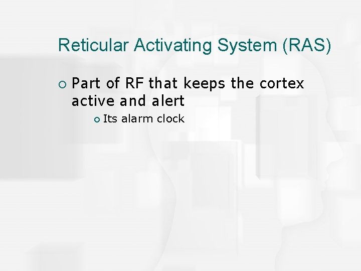 Reticular Activating System (RAS) ¡ Part of RF that keeps the cortex active and