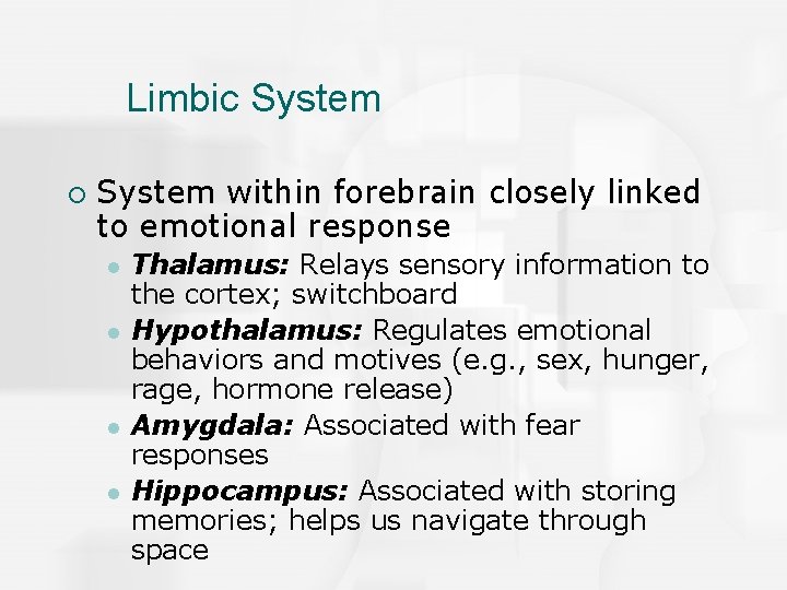 Limbic System ¡ System within forebrain closely linked to emotional response l l Thalamus: