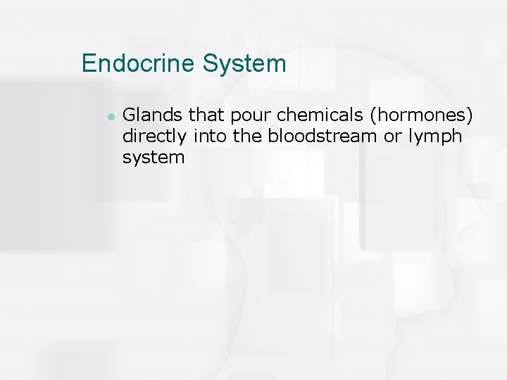 Endocrine System l Glands that pour chemicals (hormones) directly into the bloodstream or lymph