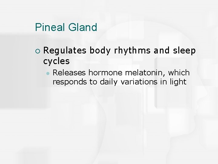 Pineal Gland ¡ Regulates body rhythms and sleep cycles l Releases hormone melatonin, which