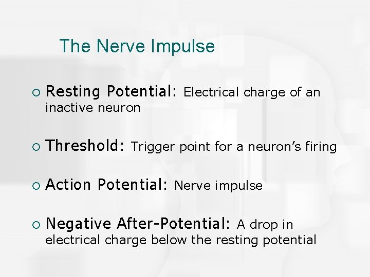 The Nerve Impulse ¡ Resting Potential: Electrical charge of an inactive neuron ¡ Threshold:
