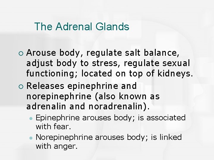 The Adrenal Glands Arouse body, regulate salt balance, adjust body to stress, regulate sexual