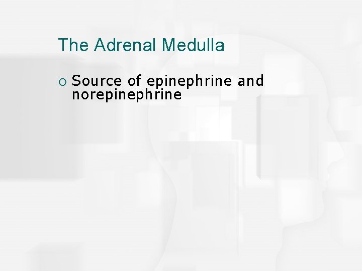 The Adrenal Medulla ¡ Source of epinephrine and norepinephrine 