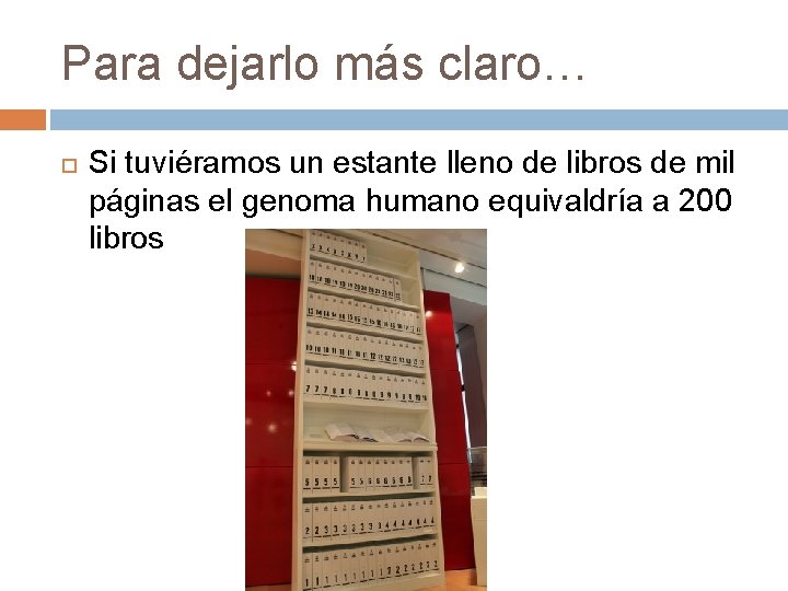 Para dejarlo más claro… Si tuviéramos un estante lleno de libros de mil páginas