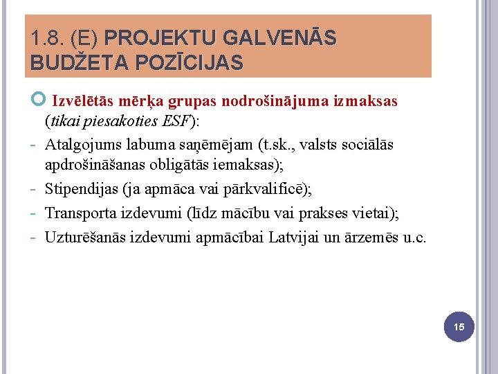 1. 8. (E) PROJEKTU GALVENĀS BUDŽETA POZĪCIJAS Izvēlētās mērķa grupas nodrošinājuma izmaksas - (tikai