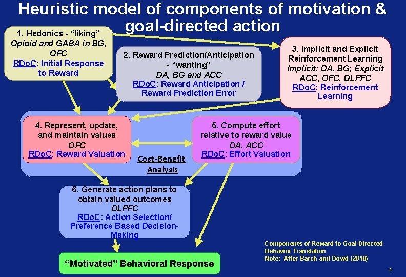 Heuristic model of components of motivation & goal-directed action 1. Hedonics - “liking” Opioid