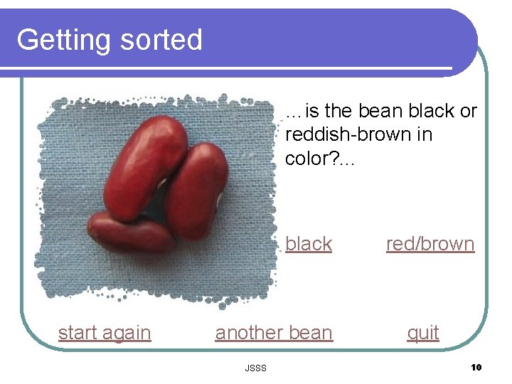 Getting sorted …is the bean black or reddish-brown in color? . . . black
