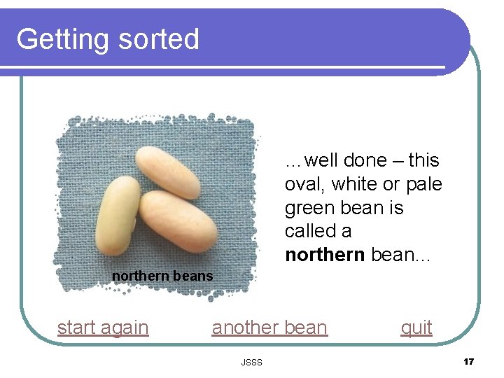 Getting sorted …well done – this oval, white or pale green bean is called