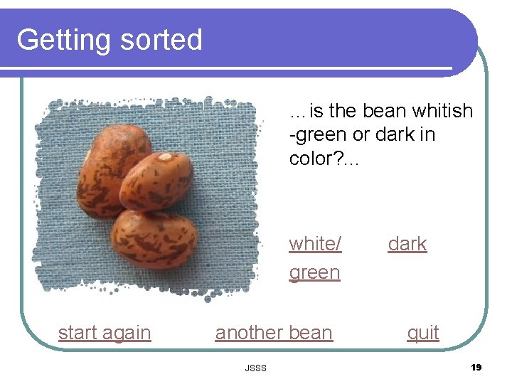 Getting sorted …is the bean whitish -green or dark in color? . . .